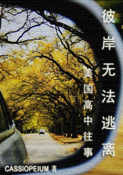 彼岸无法逃离:美国高中往事封面