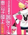 贵公子碰上嚣张丫头封面