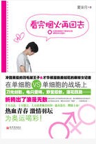 看完烟火再回去封面