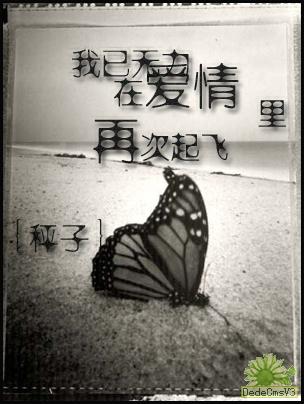爱情悄然封面