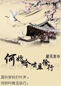 何妨吟啸且徐行 星无言封面