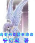 会有天使替我流泪封面
