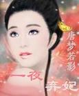 万世劫:一夜弃妃封面