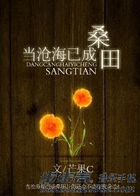 当沧海已成桑田封面