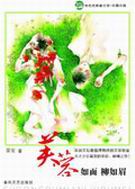 芙蓉如面柳如眉封面