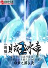 海贼之贼王冰帝封面