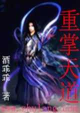重掌天道封面