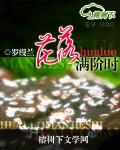 花落满阶时封面