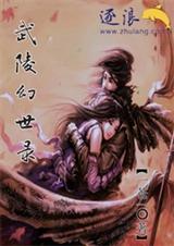 武陵幻世录封面