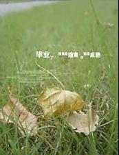 青春已成碎片封面