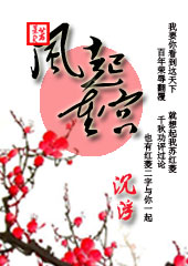 女杀手穿越:风起重宫封面