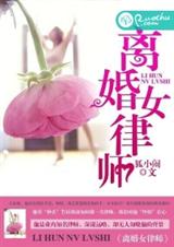 离婚女律师封面
