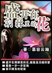 盛开在荆棘里的花封面