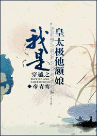 我是皇太极他额娘封面