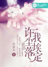 许我尘埃落定封面