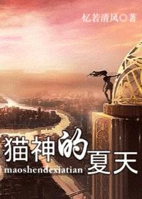 猫神的夏天封面