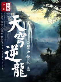 天穹逆龙封面