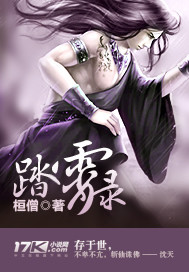 踏霄录封面