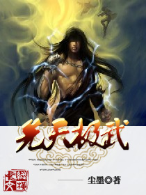 先天极武封面