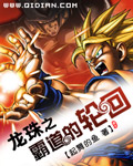 龙珠之霸道的轮回封面
