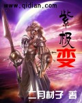 紫极变封面