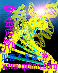 黄金序列封面