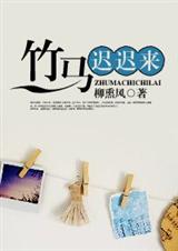 竹马迟迟来封面