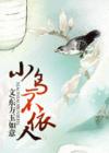 小鸟不依人封面