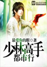 少林高手都市行封面