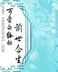 可爱白狐的前世今生封面