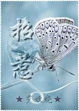 高干 招惹封面