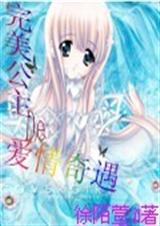 完美公主的爱情奇遇封面