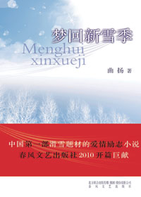 梦回新雪季封面