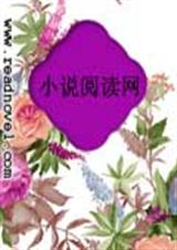 幸福在原地封面