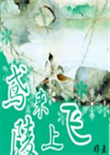 鸢来陵上飞封面