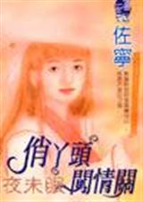 俏丫头闯情关封面
