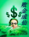 败金成仙封面
