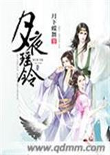 月夜瑶铃封面