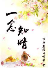 一念知晴封面