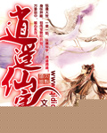 逍遥仙宇封面