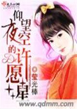 仰望夜空的许愿星封面