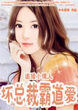 坏总裁霸道爱:追猎小情人封面