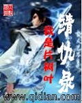 靖仇录封面