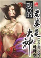 我的老婆是大神封面