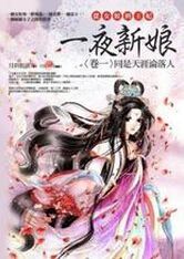 从女奴到王后:一夜新娘封面