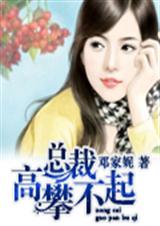 总裁,高攀不起封面