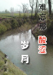 难忘那酸涩岁月封面