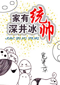 家有统帅,深井冰封面