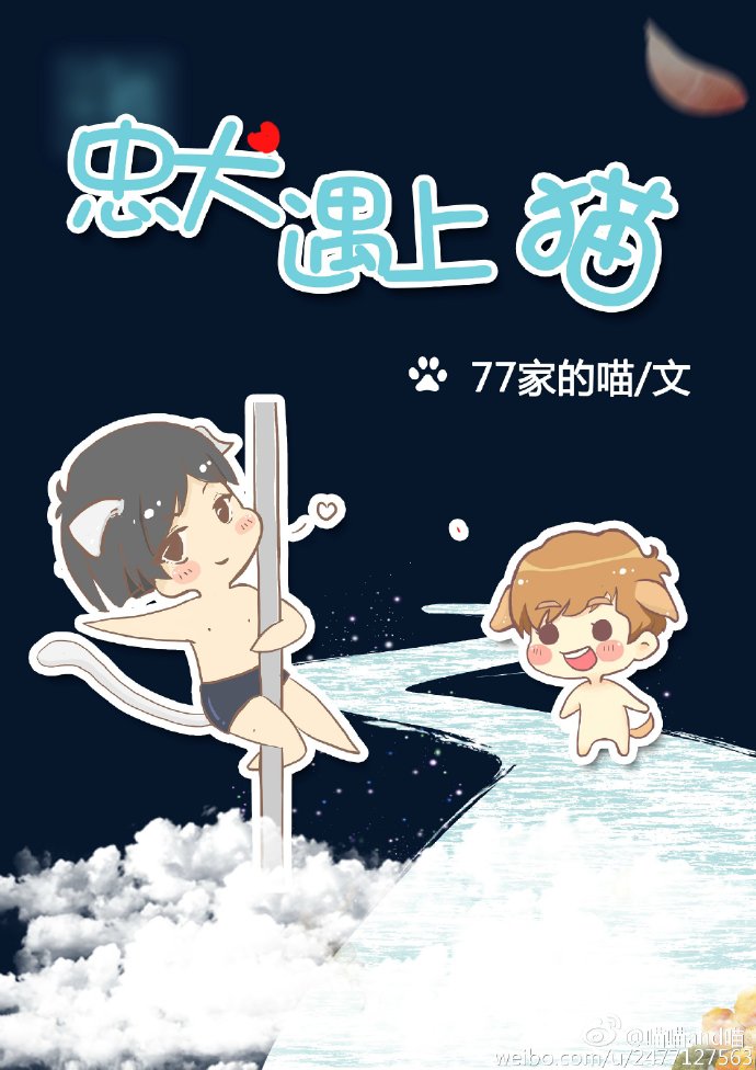 忠犬遇上猫封面