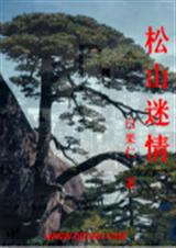 松山迷情封面